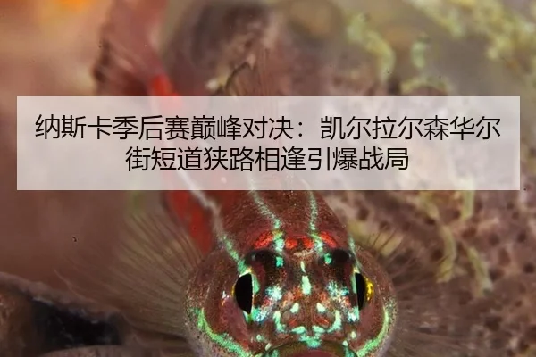 纳斯卡季后赛巅峰对决：凯尔拉尔森华尔街短道狭路相逢引爆战局