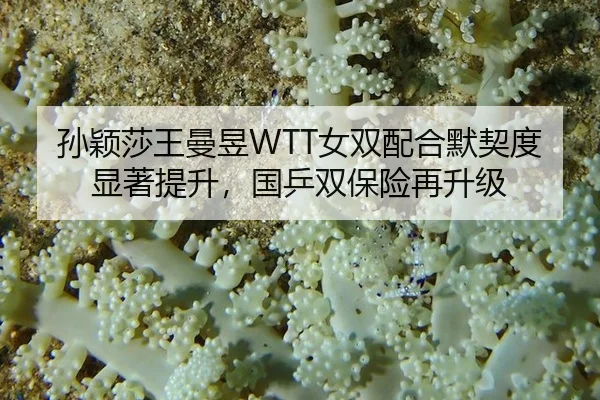 sun-ying-sha-wang-man-yu-nv-shuang-pei-he-mo-qi-du-xian-zhu-ti-sheng-guo-ping-shuang-bao-xian-zai-sheng-ji-3-902.jpg
