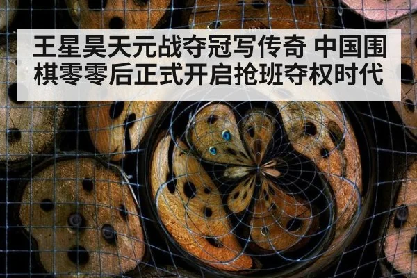 王星昊天元战夺冠写传奇 中国围棋零零后正式开启抢班夺权时代