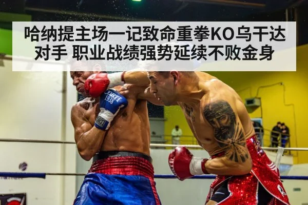哈纳提主场一记致命重拳KO乌干达对手 职业战绩强势延续不败金身